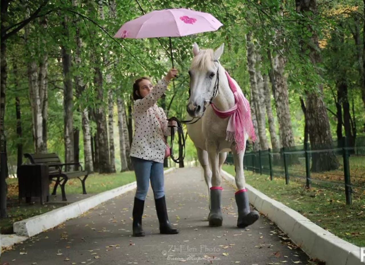Услуга «Фотосессии с лошадьми» — конный клуб Три Гривы