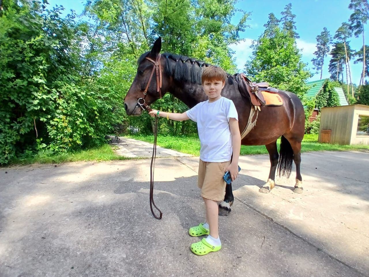 Лошадь с мальчиком